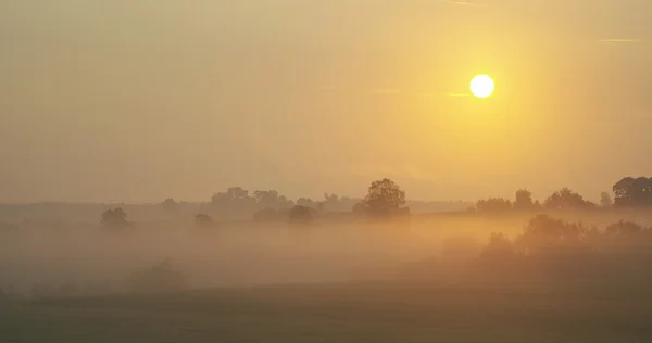 Misty morning sunrise — Stock Photo, Image