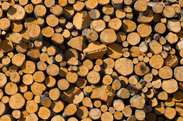stock image Pile of wood