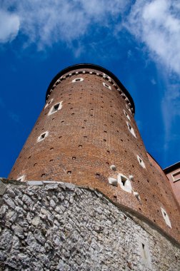 Wawel Kalesi kulesi. Krakow. Polonya