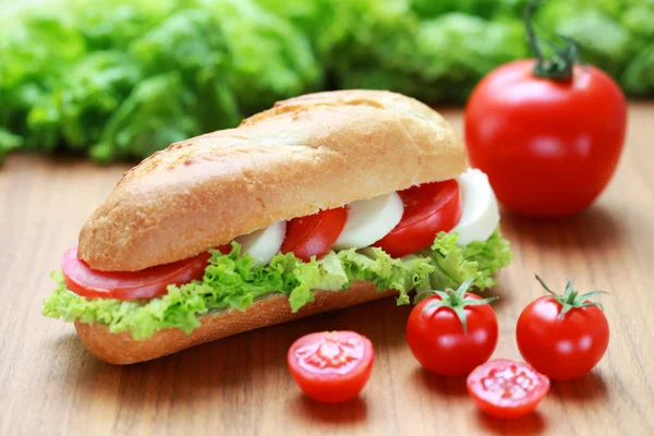 Sandwich with mozarella and tomatoes — Stock Photo, Image