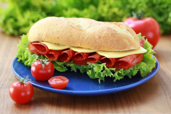 Salami smörgås — Stockfoto