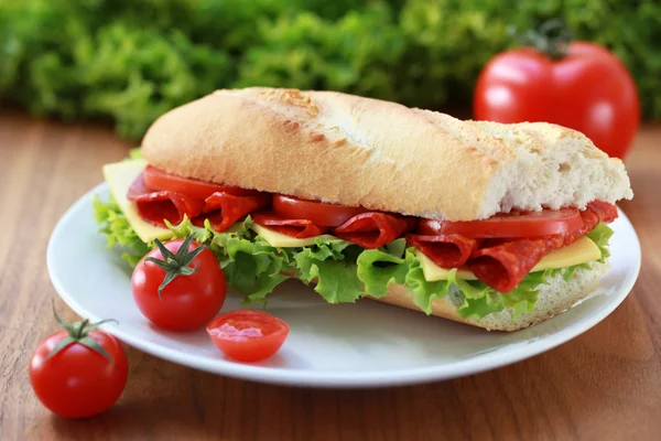 Fresh sub with salami and cheese — Stock Photo, Image