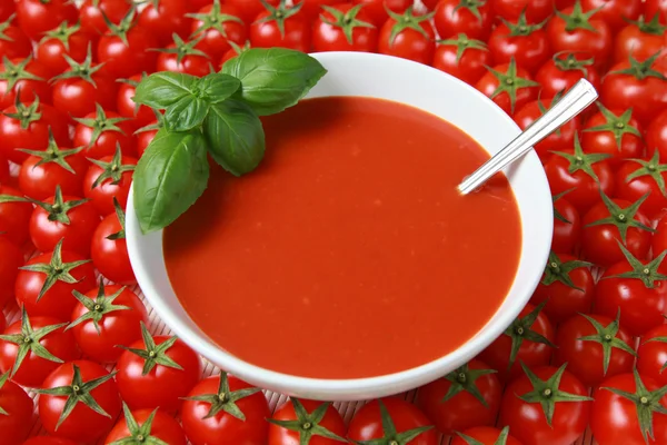 Taze domates çorbası — Stok fotoğraf