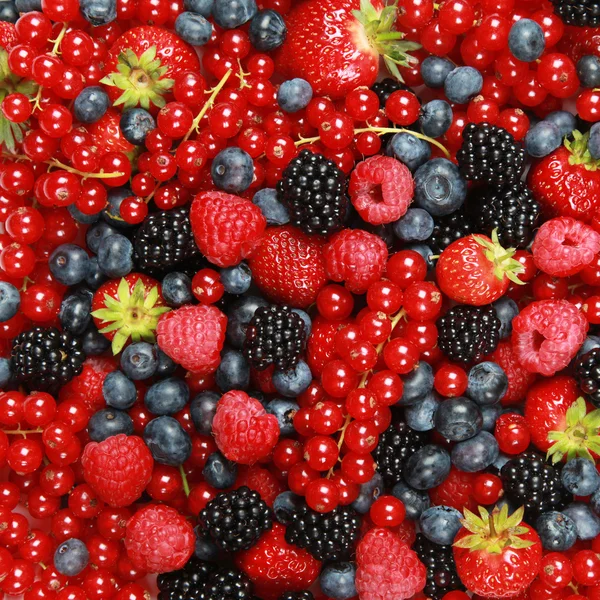 Berry mix — Stockfoto