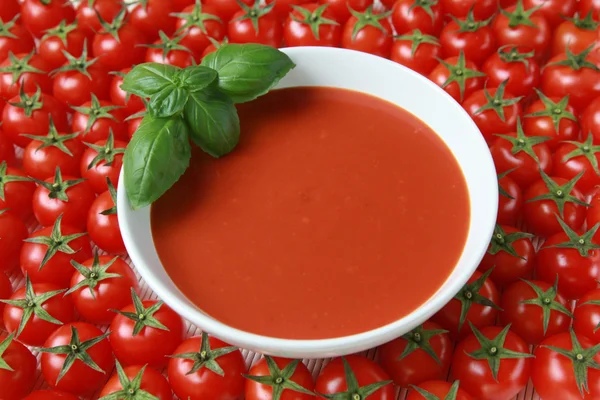 Soupe de tomates fraîches — Photo