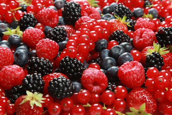 Berry Mix — Stock Photo, Image