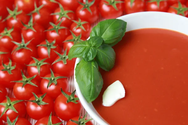 신선한 토마토 수프 — 스톡 사진