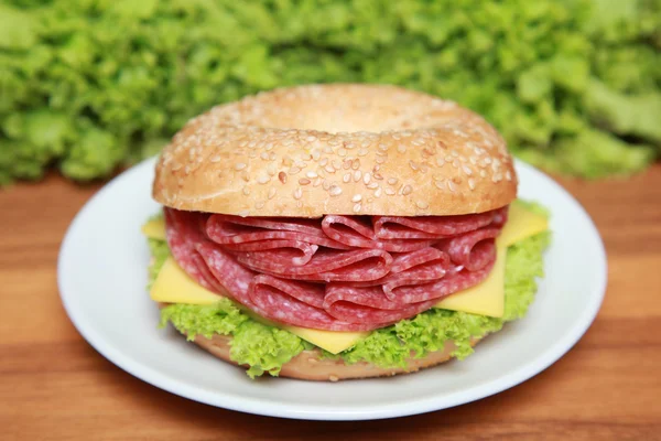 stock image Bagel with Salami