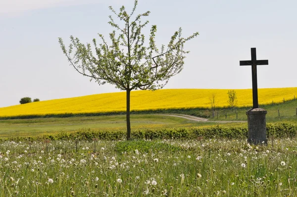 Blumenwiese mit Baum und Kreuz — Stock Photo, Image