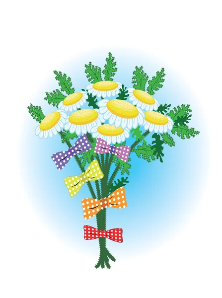 Camomille bouquet — Image vectorielle