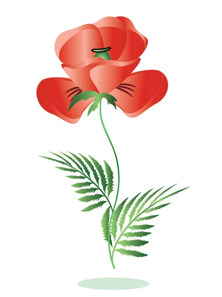 红罂粟 — 图库矢量图片