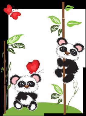 Background with panda bears clipart