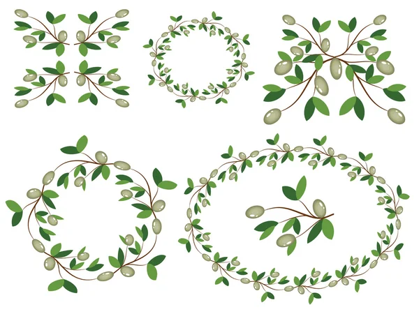 Decor with olive branches — Stock Vector