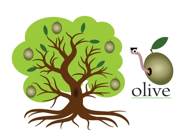 Olivo — Archivo Imágenes Vectoriales
