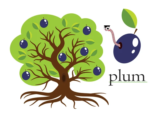 Plum tree — Stock Vector