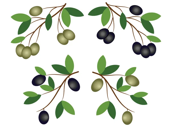 风格的装饰和橄榄枝 — 图库矢量图片