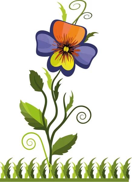 Stiefmütterchenblume — Stockvektor