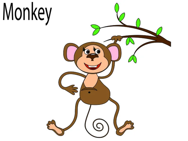 Vector animals ,monkey — Stock Vector