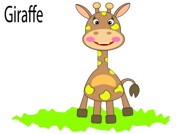 Vector animals ,giraffe — Stock Vector