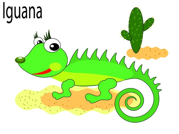 Iguana de animales vectores — Vector de stock