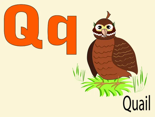 stock vector Animal alphabet Q ,vector