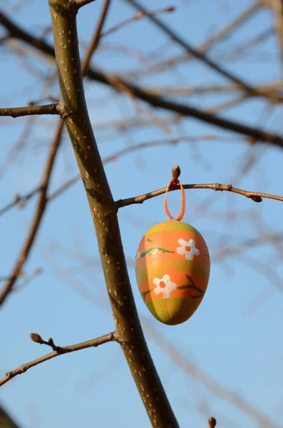 Velikonoční vajíčko na větev stromu — Stock fotografie