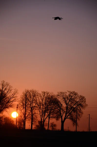 Άνοιξη αξέχαστο ηλιοβασίλεμα. — Φωτογραφία Αρχείου