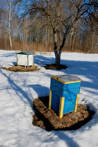 Bienenstöcke im Frühling. — Stockfoto