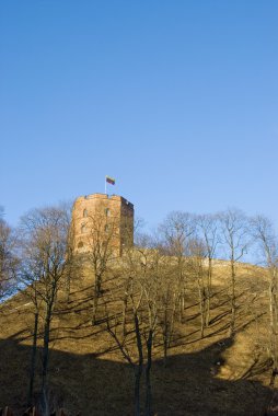 Litvanya, Vilnius 'taki Gediminas kalesi.