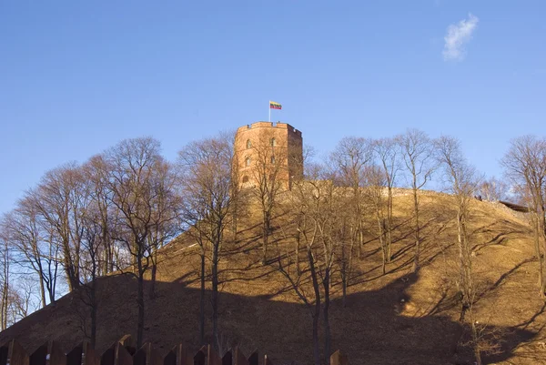 Château de Gediminas au sommet de la colline . — Photo