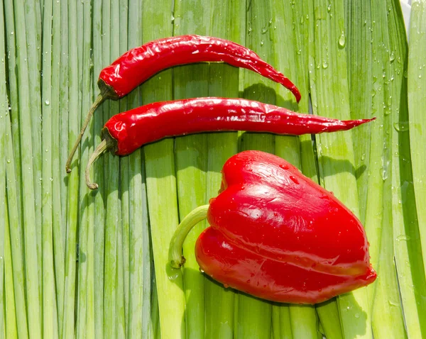 Slim and fat peppers. — Stock Photo, Image