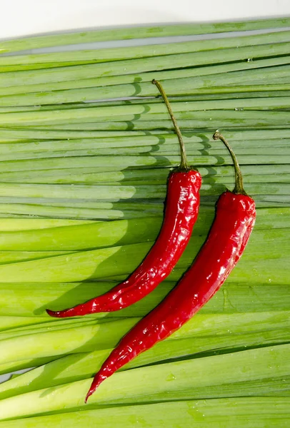 Slim red peppers. — Stock Photo, Image