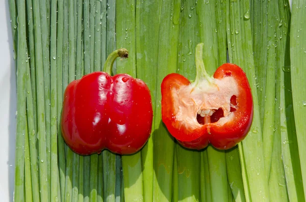 Two fat red paprikas. Orions. — Stock Photo, Image