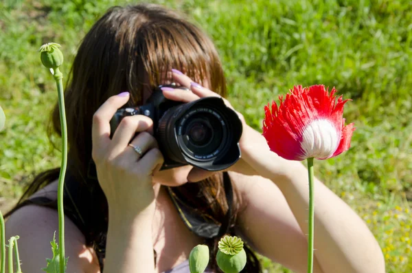 Junge Fotografin schießt auf Mohnblüte. — Stockfoto