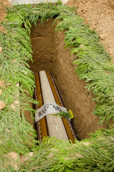 The coffin lowered into pits. — Stock Photo, Image