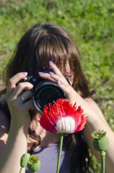 Young photographer vs poppy bud. — Stock Photo, Image