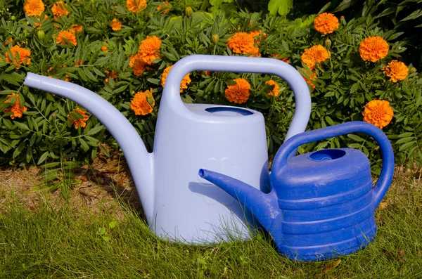 Watering cans near flowers. — Stock Photo, Image