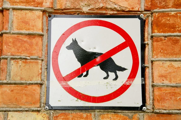 No dogs. — Stock Photo, Image