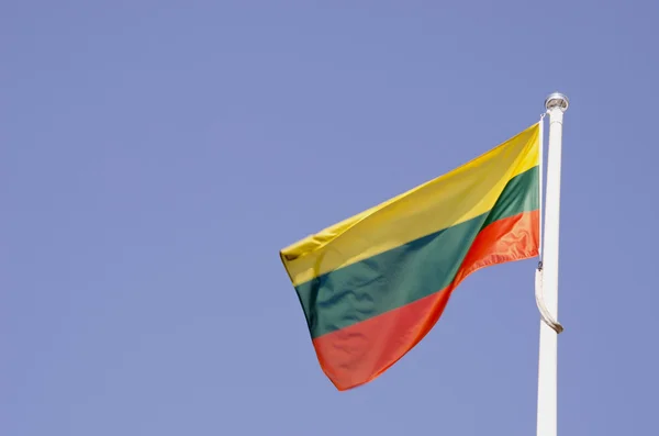 stock image Lithuanina tricolor flag.