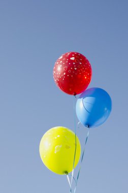 çok renkli balonlar dizeleri ile bağlı.