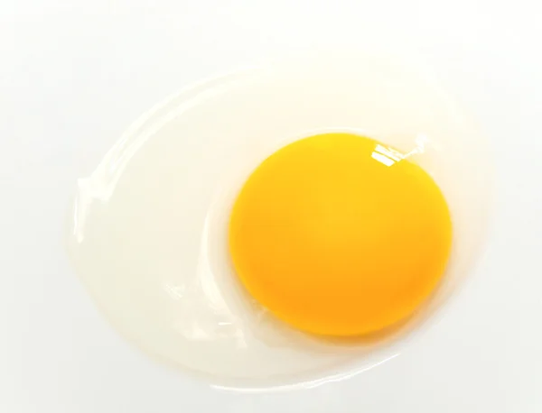 Uncooked chicken egg — Stock Photo, Image
