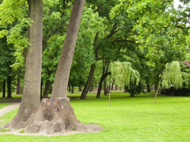 yeşil park