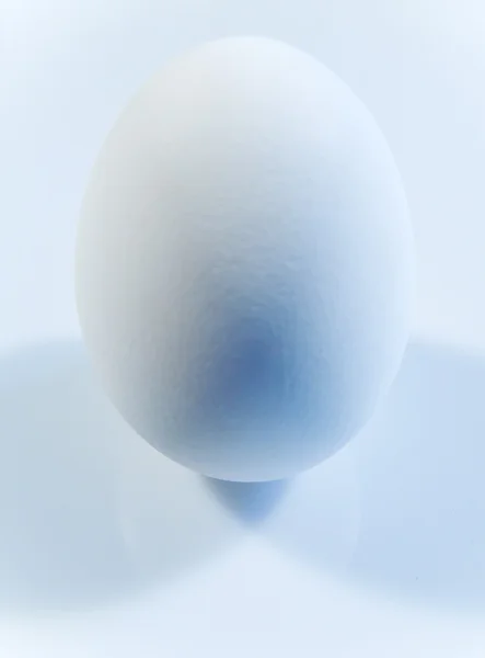 Hen's egg — Stock Photo, Image