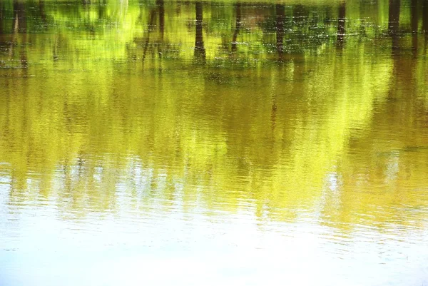 Water reflect — Stock Photo, Image