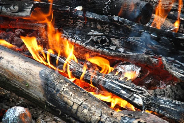 Fa tűz — Stock Fotó