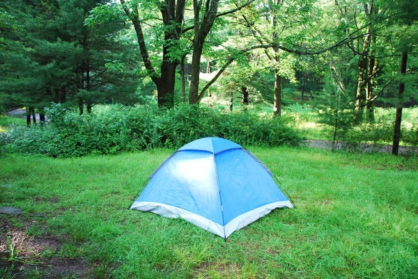 숲에서 푸른 텐트 — 스톡 사진