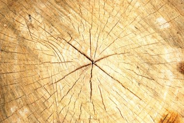 Wood texture clipart