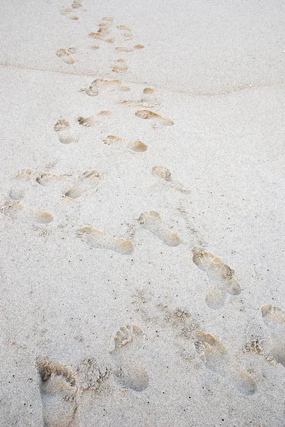 Impronte nella sabbia — Foto Stock