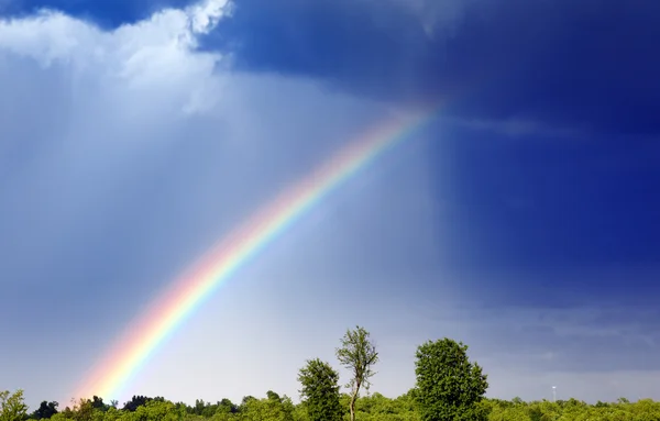 stock image Rainbow