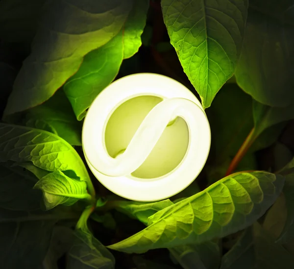 Bombilla fluorescente compacta — Foto de Stock